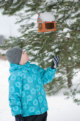 Similar image 1052288