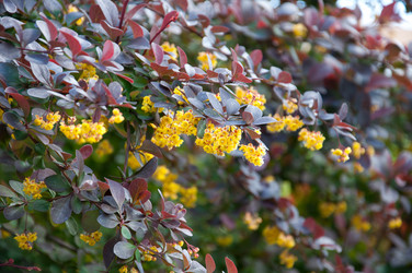 Similar image 1052342