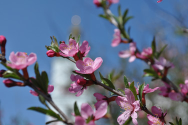 Similar image 1052388