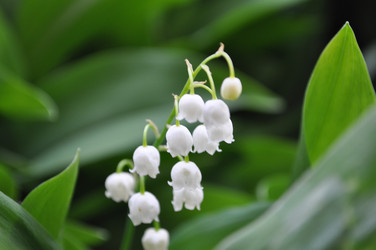 Similar image 1052398