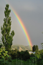 Similar image 1052402