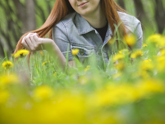 Similar image 1052482