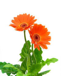 Similar image 1052551