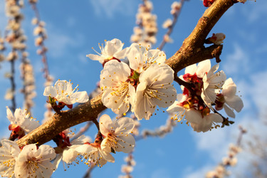 Similar image 1052643