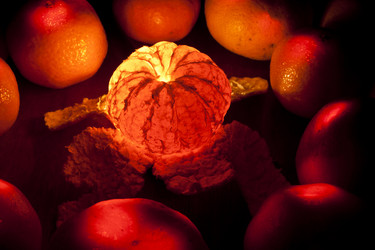 Similar image 1053110