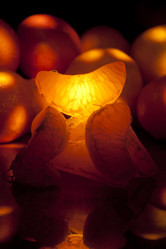 Similar image 1053116