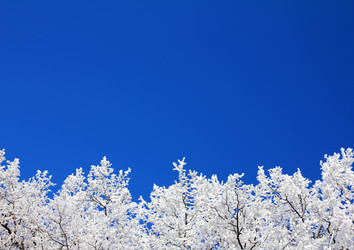 Similar image 1053178