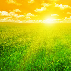 Similar image 1053398