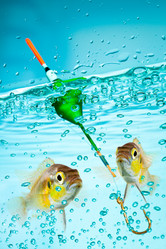 Similar image 1053534