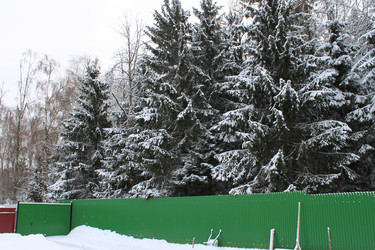 Similar image 1053562