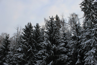 Similar image 1053563