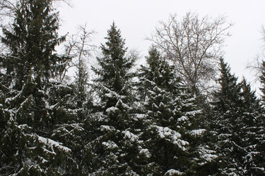 Similar image 1053564