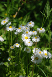 Similar image 1053801