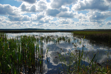 Similar image 1053802