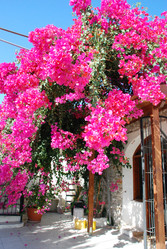 Similar image 1053803