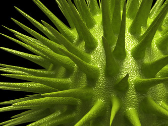 Similar image 1054263