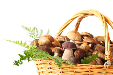 Similar image 1054856