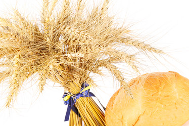 Similar image 1054865