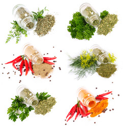 Similar image 1054906