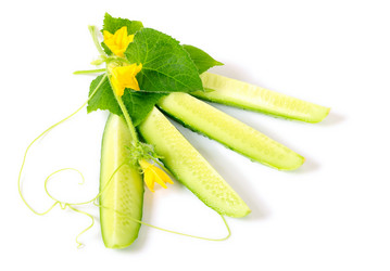 Similar image 1054914