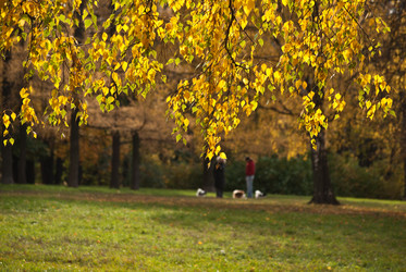 Similar image 1055305