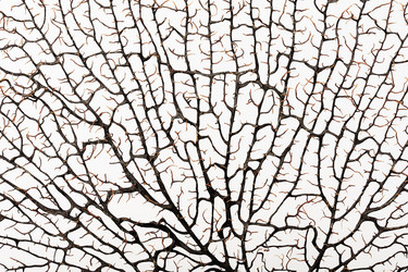 Similar image 1056995