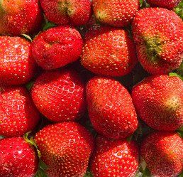 Similar image 1057019