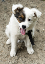 Similar image 1057027