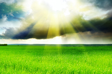 Similar image 1057772