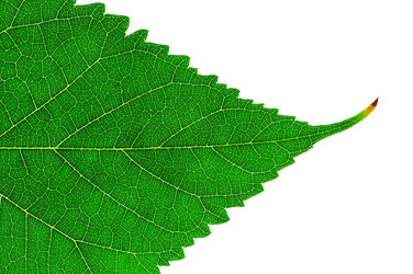 Similar image 1058056