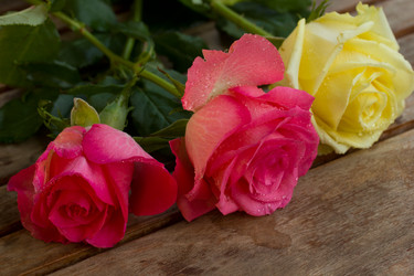 Similar image 1058376