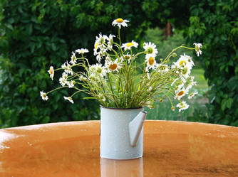 Similar image 1058471