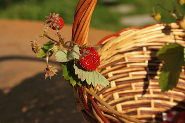 Similar image 1058492