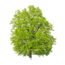 Similar image 1058745