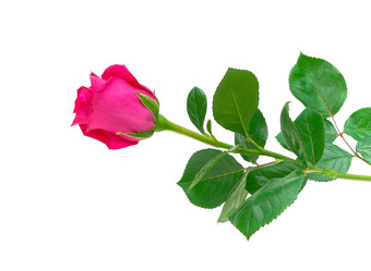 Similar image 1058835