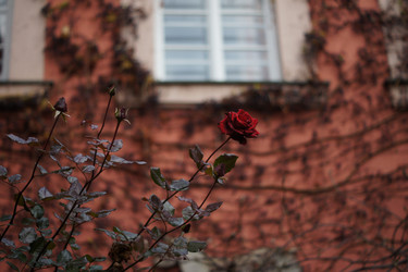 Similar image 1058873