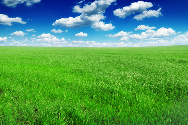 Similar image 1059602