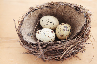 Similar image 1059769