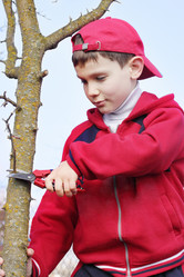 Similar image 1059810