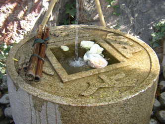 Similar image 1059891