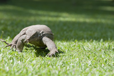 Similar image 1060169