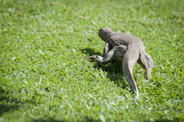 Similar image 1060170