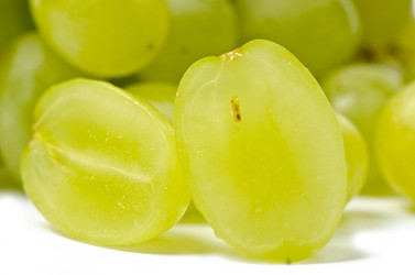 Similar image 1060231