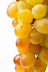 Similar image 1060232