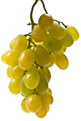 Similar image 1060236