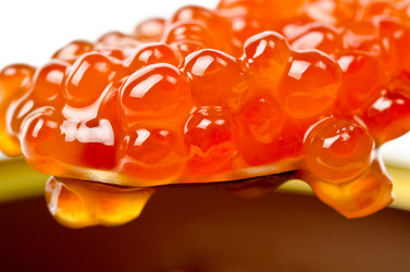 Similar image 1060254