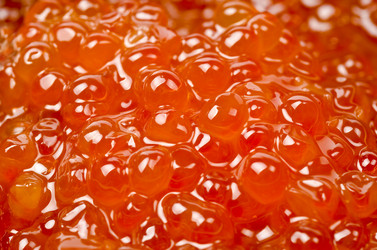 Similar image 1060256