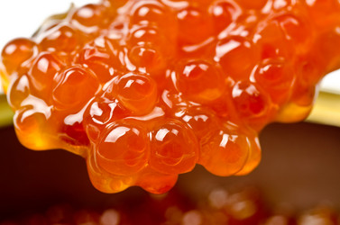 Similar image 1060257