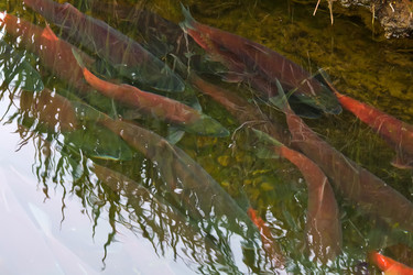 Similar image 1060276