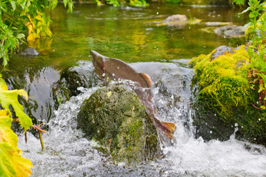 Similar image 1060295